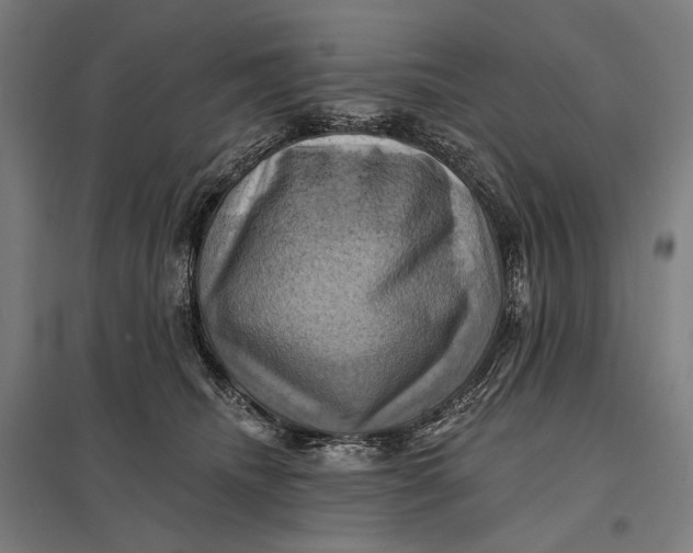 X0000097830468200803281204