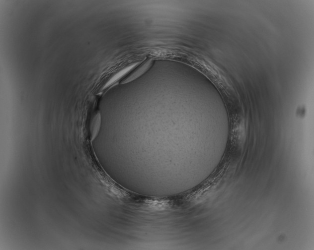 X0000097830469200803281204