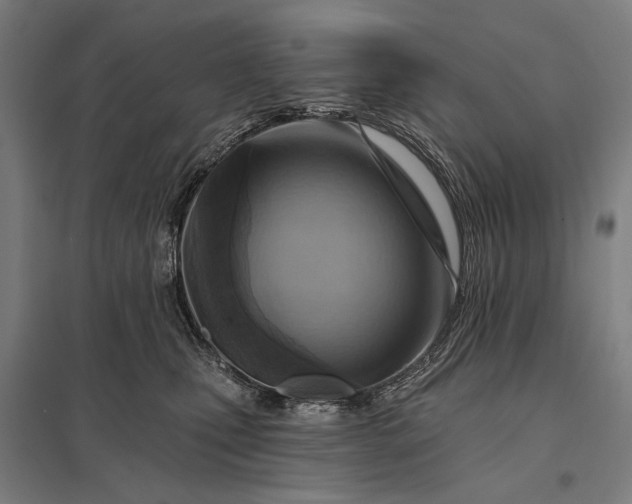 X0000097830471200803281204