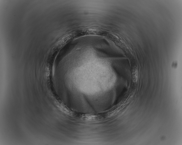 X0000097830472200803281204