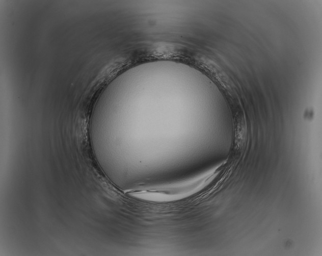 X0000097830473200803281204