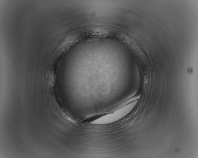 X0000097830474200803281204