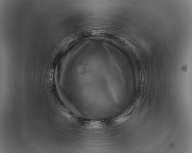 X0000097830475200803281204