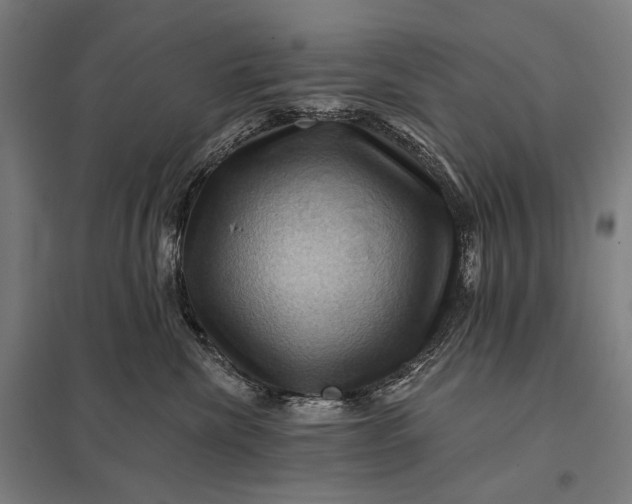 X0000097830476200803281204