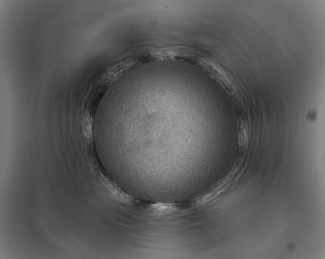 X0000097830477200803281204