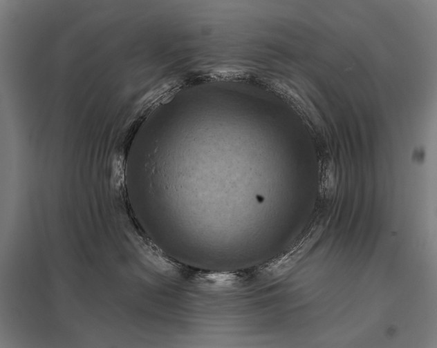 X0000097830478200803281204