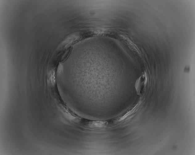 X0000097830479200803281204