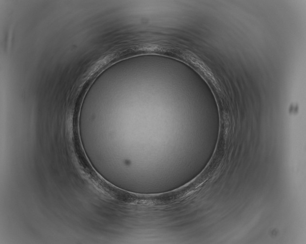 X0000097830482200803281204