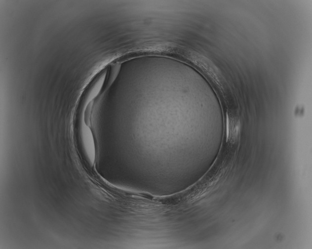 X0000097830483200803281204