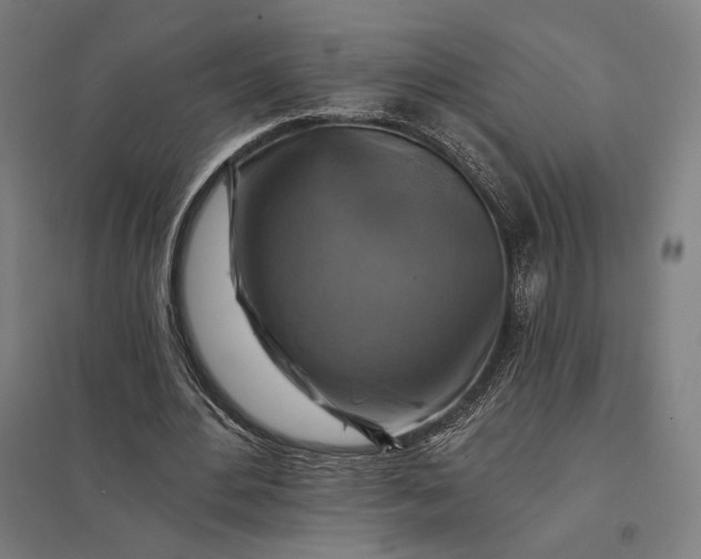 X0000097830484200803281204