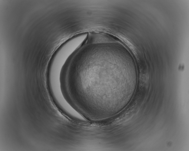 X0000097830485200803281204