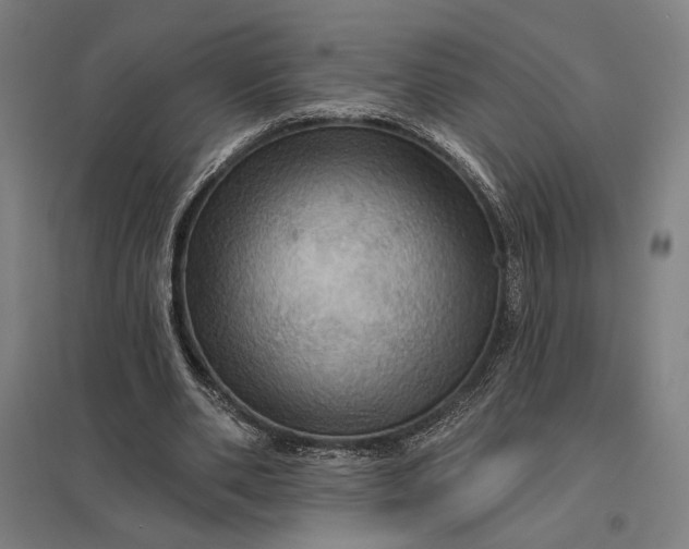 X0000097830486200803281204