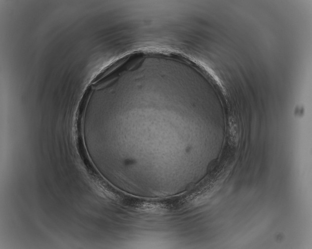 X0000097830487200803281204