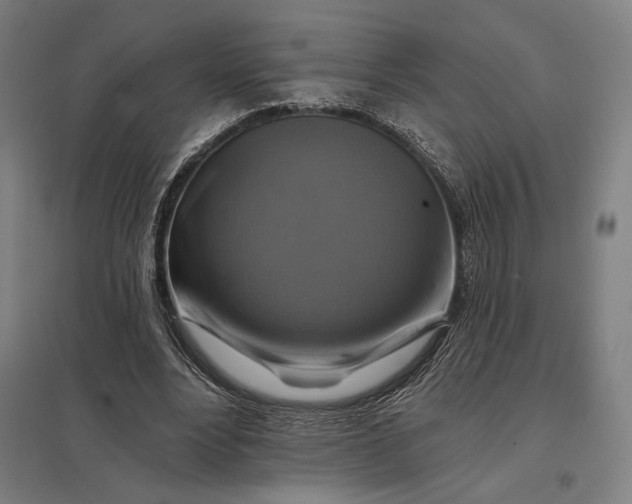 X0000097830488200803281204