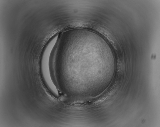 X0000097830489200803281204