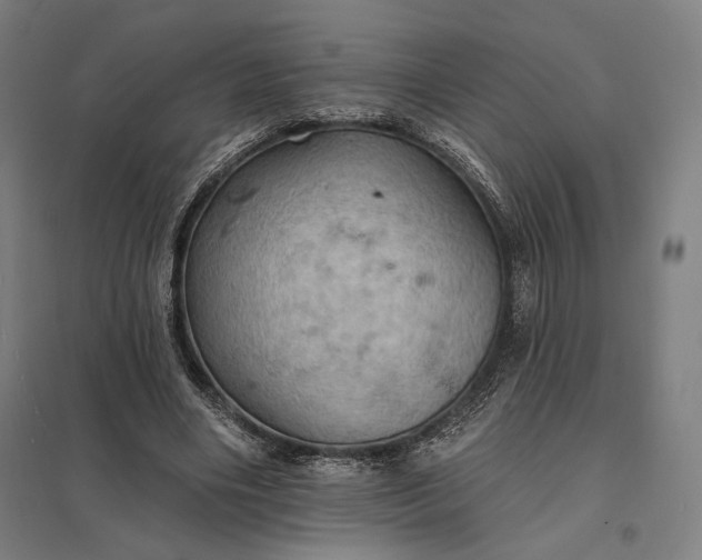 X0000097830490200803281204