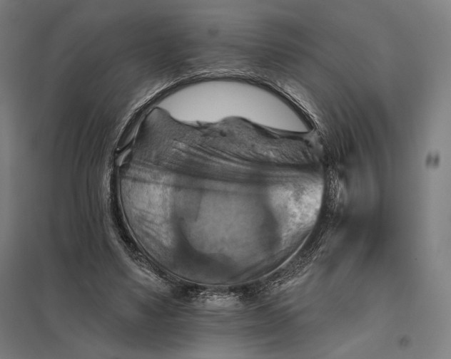 X0000097830491200803281204