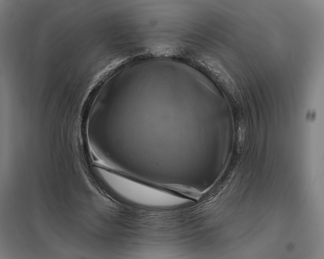 X0000097830492200803281204