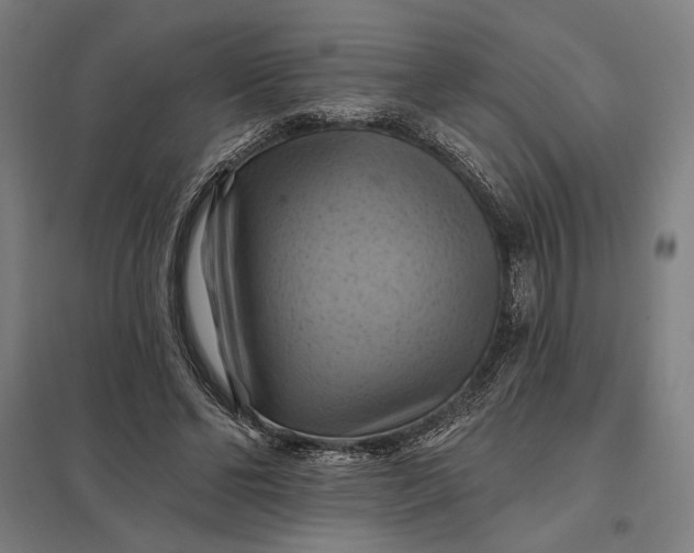 X0000097830494200803281204