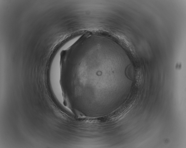 X0000097830495200803281204