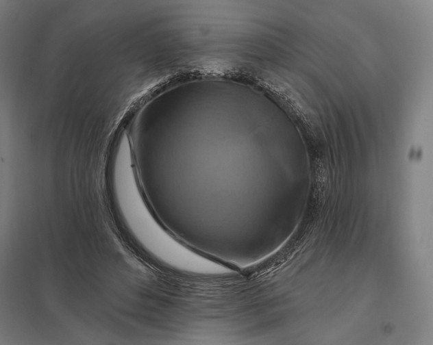 X0000097830496200803281204