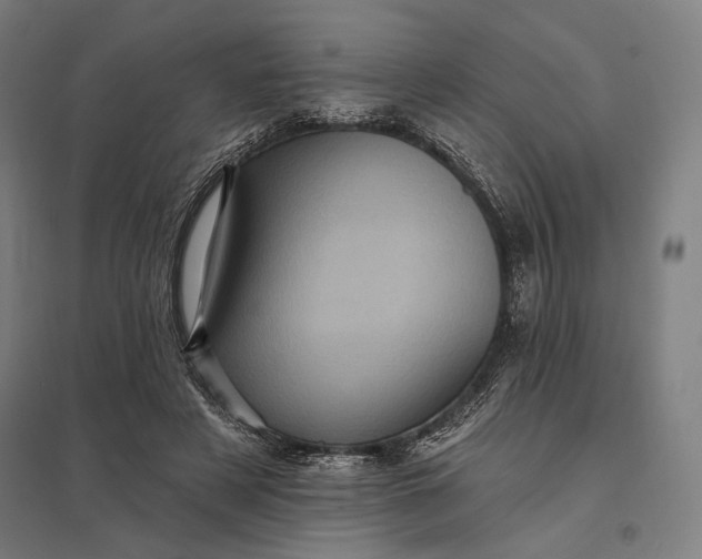 X0000097830497200803281203