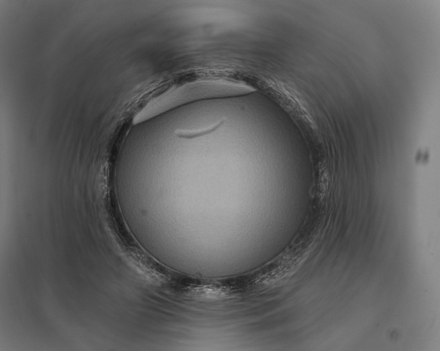 X0000097830498200803281203