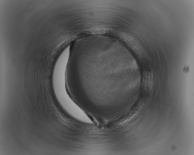 X0000097830501200803281203