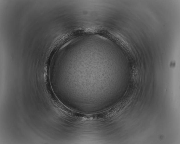 X0000097830502200803281203