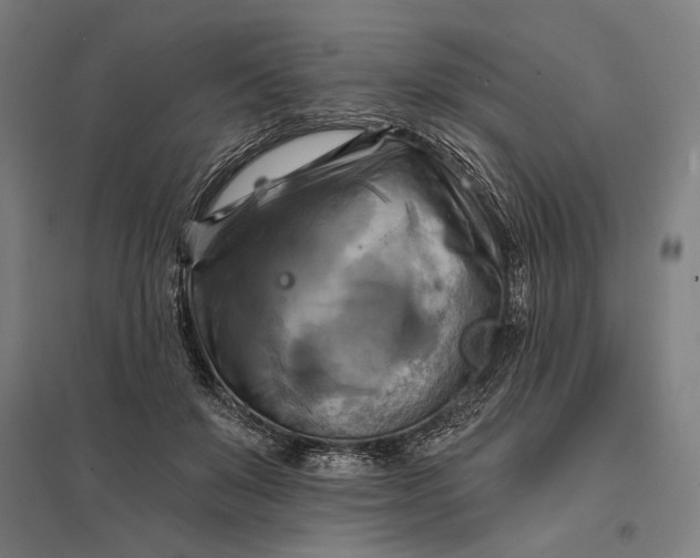 X0000097830503200803281203