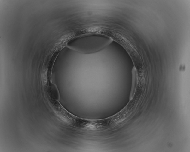 X0000097830504200803281203