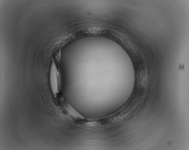 X0000097830505200803281203