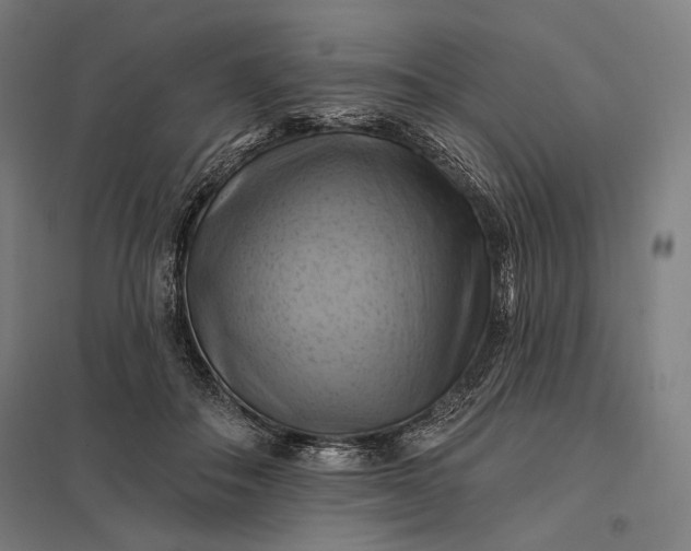 X0000097830506200803281203