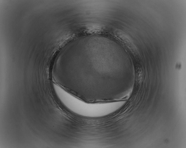 X0000097830508200803281203