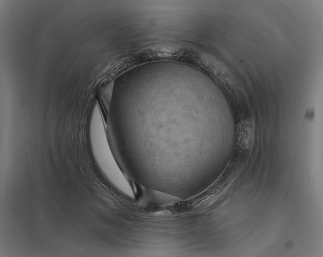 X0000097830509200803281203