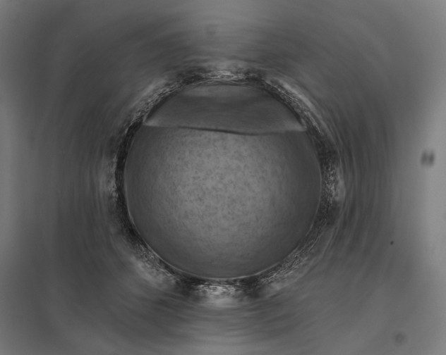 X0000097830512200803281203