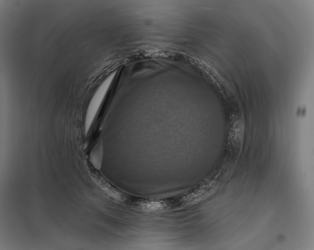 X0000097830513200803281203