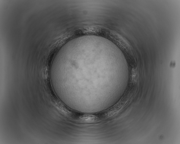 X0000097830514200803281203