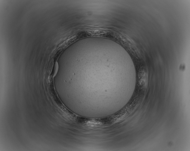 X0000097830515200803281203