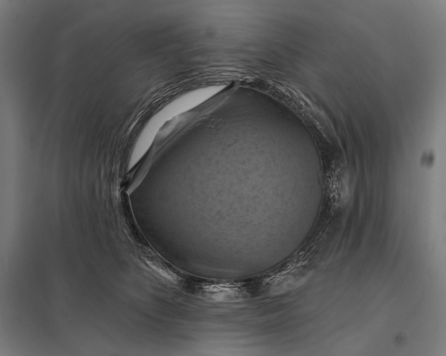 X0000097830516200803281203