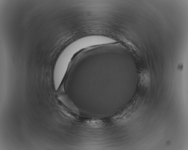 X0000097830517200803281203