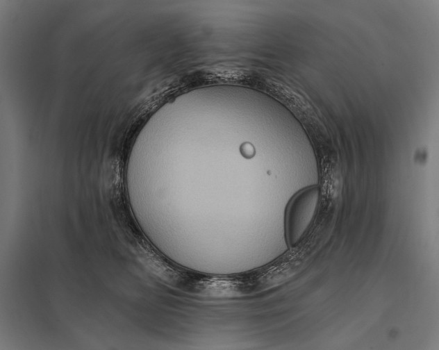 X0000097830518200803281203