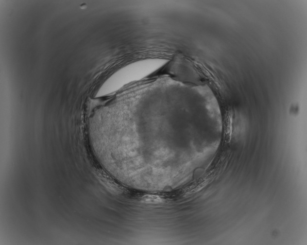 X0000097830519200803281203