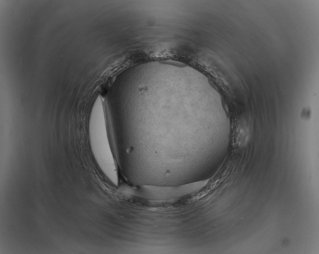 X0000097830521200803281203