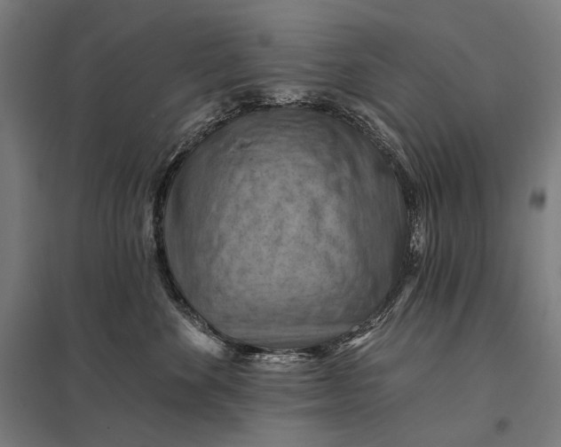 X0000097830524200803281203