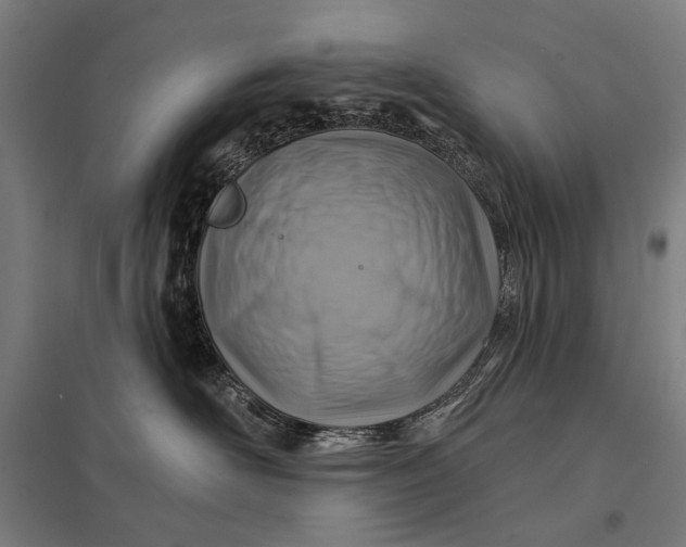 X0000097830526200803281203