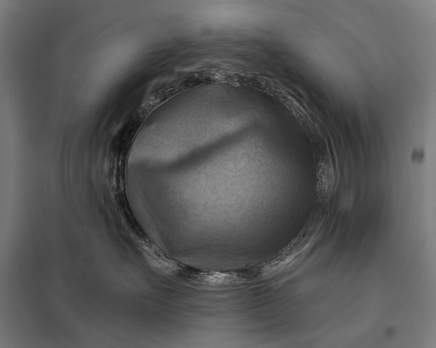 X0000097830527200803281203