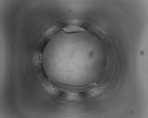 X0000097830528200803281203