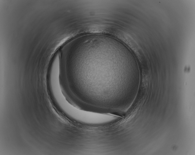 X0000097830530200803281202