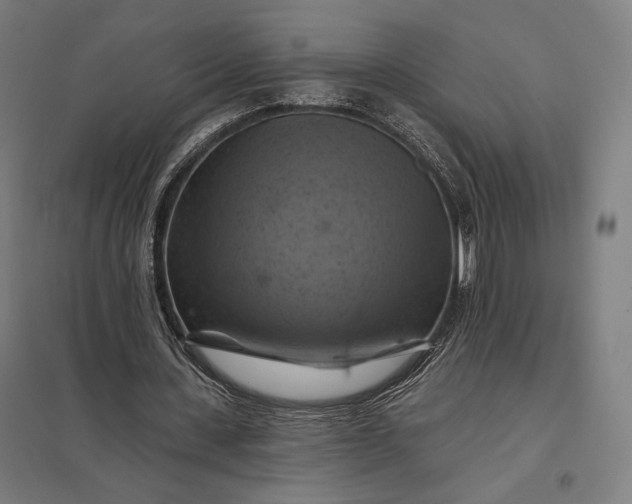 X0000097830531200803281202